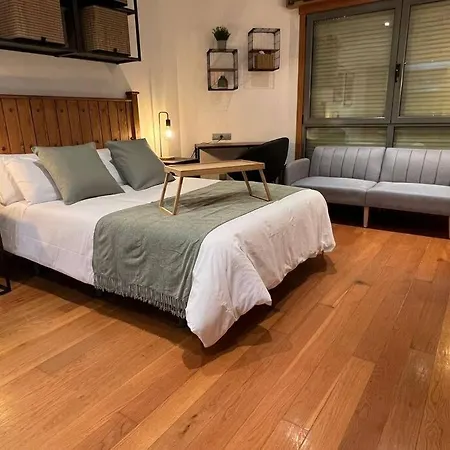 Central Suites Poli Sanz Apartamento *
